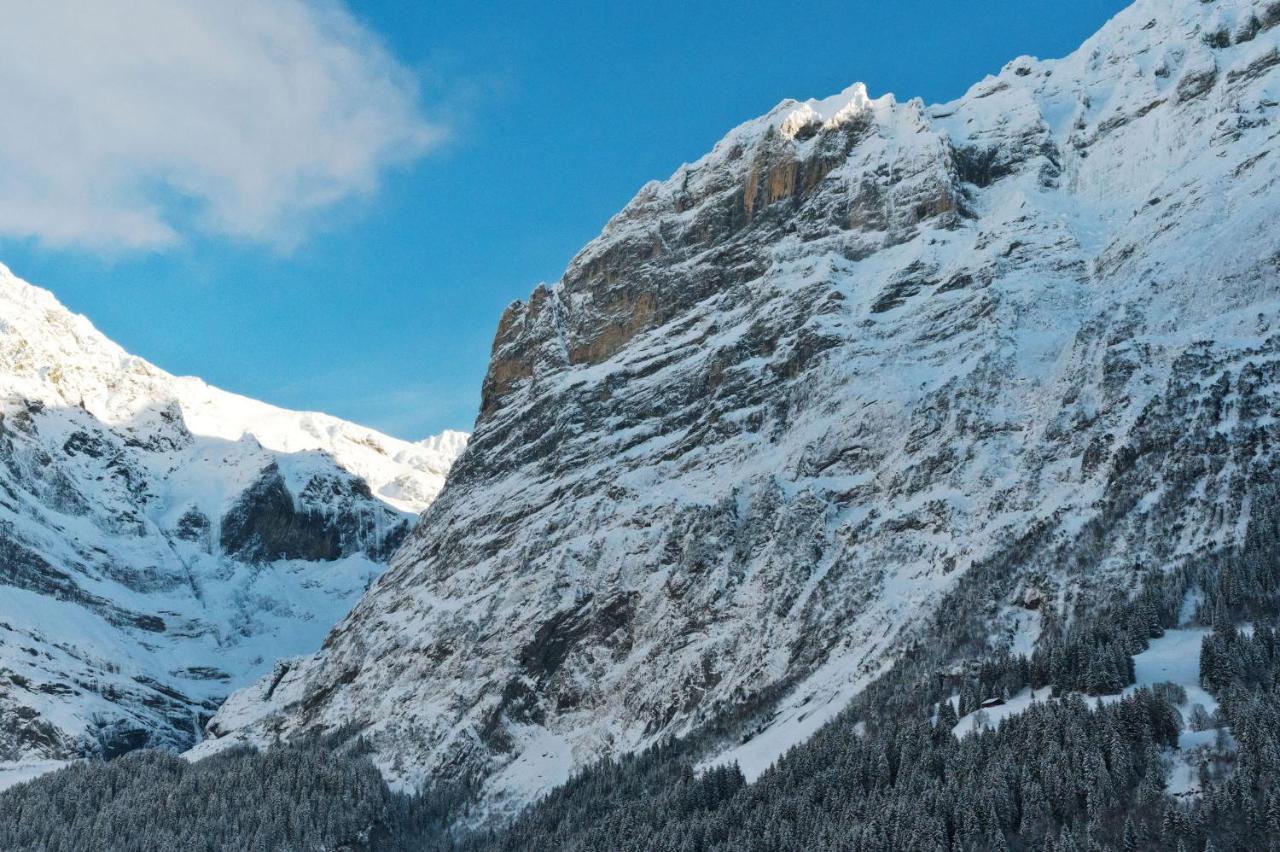 Alpenblick Mini-hôtel