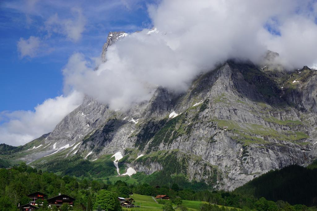 Mini-hôtel Alpenblick