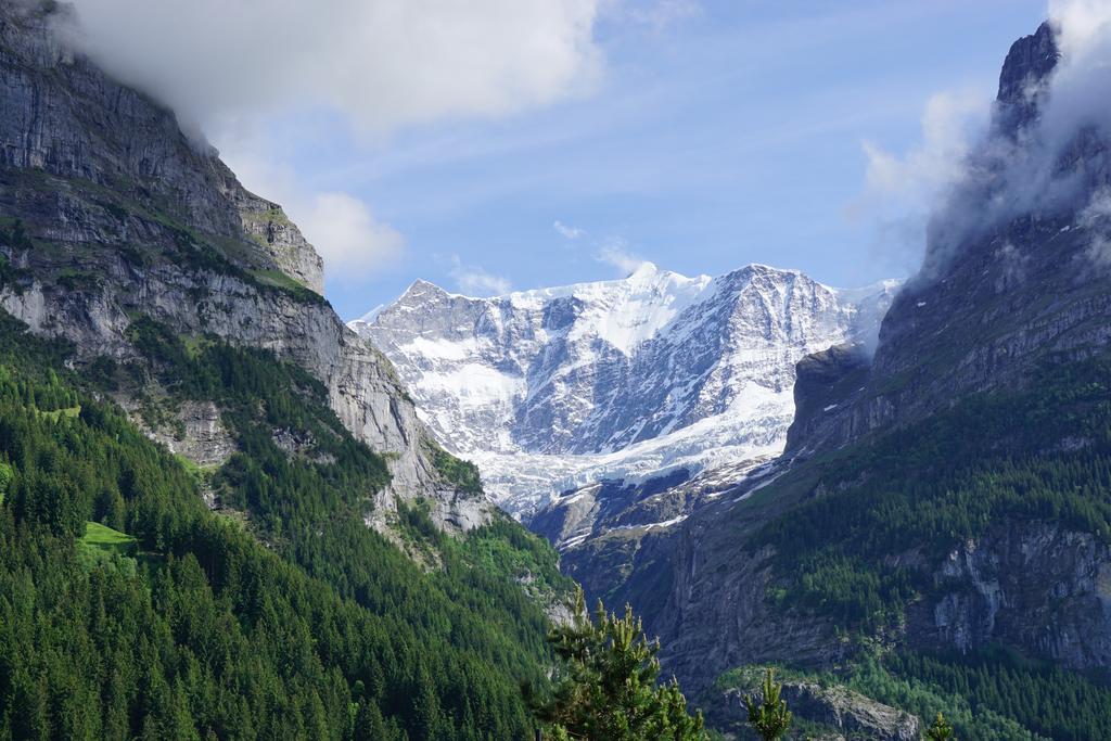 Gasthof Alpenblick